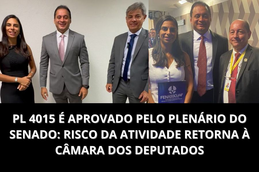 PL 4015 É APROVADO PELO PLENÁRIO DO SENADO: RISCO DA ATIVIDADE RETORNA À CÂMARA DOS DEPUTADOS