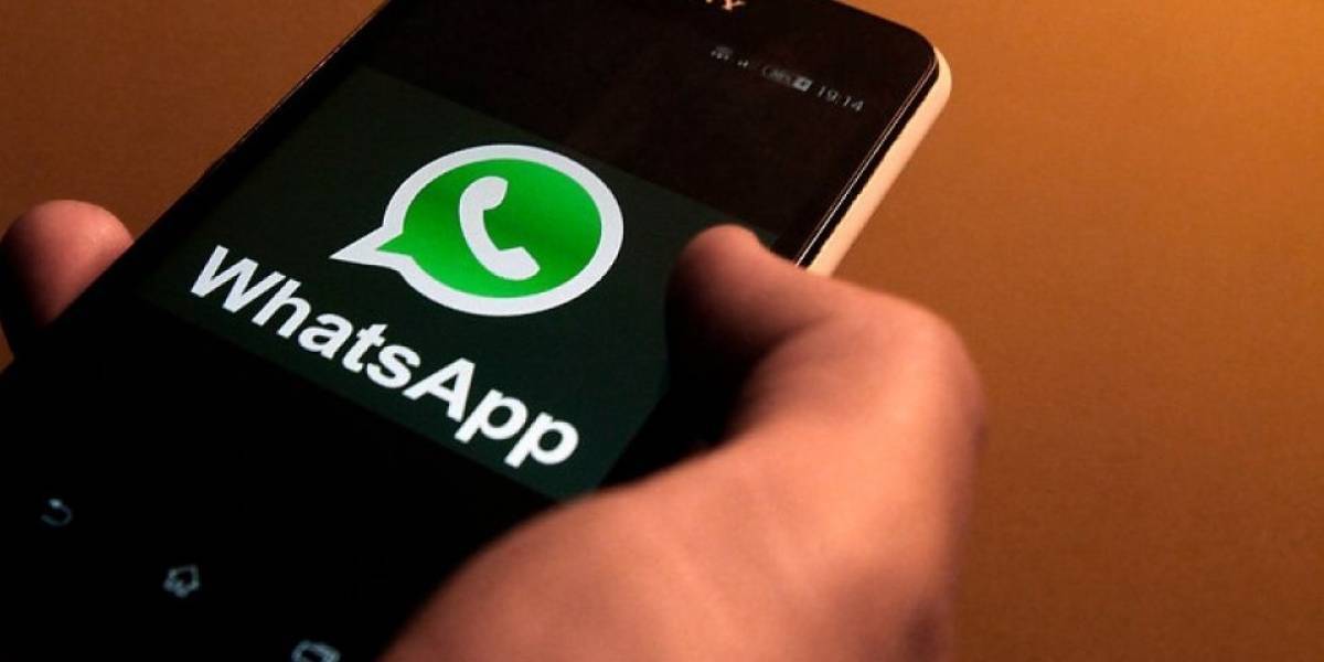 JFPB REGISTRA MAIS DE 300 ADESÕES À INTIMAÇÃO POR WHATSAPP